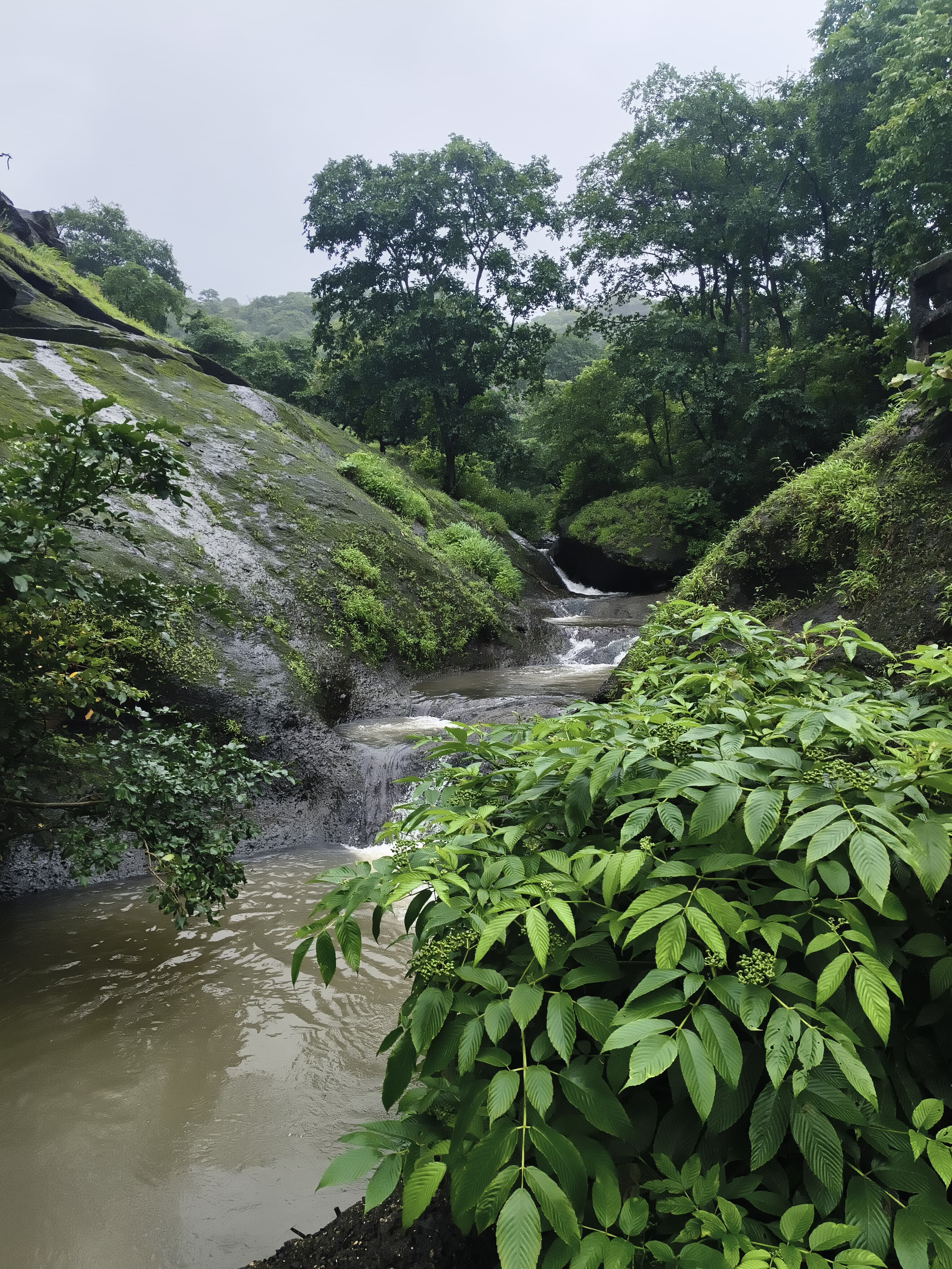 Kanheri Caves & Pagoda Tour